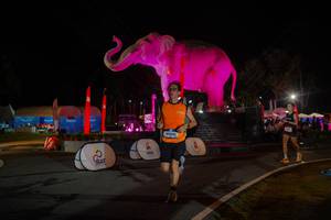 BIB: 
                            <button type="button" onclick="openModal(26552113)" class="btn btn-primary btn-sm float-right btn-popup" data-toggle="modal" data-target=".modal-high-quality">
                        <i class="fas fa-shopping-cart"></i> Add to Cart
                    </button>
                                            <button type="button" onclick="isThisMe(26552113, true)" class="btn btn-success btn-sm float-right btn-popup btn-isme hidden" data-toggle="tooltip" data-placement="bottom" title="นี่คือรูปของคุณใช่ไหม คลิกที่นี่เพื่อเอาเข้าอัลบั้ม">
                        <i class="fas fa-plus"></i> Add to album
                    </button>
                    <button type="button" onclick="isThisMe(26552113, false)" class="btn btn-warning btn-sm float-right btn-popup btn-isnotme hidden">
                        <i class="fas fa-ban"></i> Remove from album
                    </button>